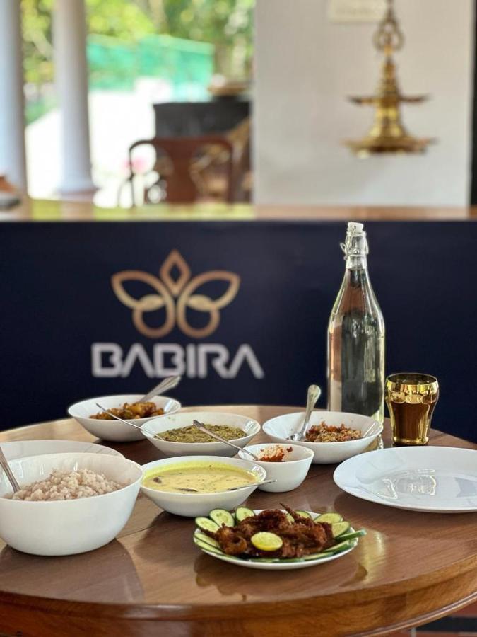 Babira Brookside Heritage Resort Kumarakom Zewnętrze zdjęcie